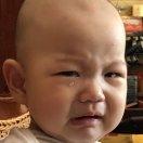 嘿胖砸的个人资料头像