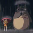 吾皇酱91155的个人资料头像