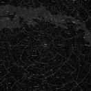 毕达哥拉斯的大树的个人资料头像