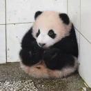 Aragon的个人资料头像