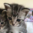 赵剑锋的个人资料头像