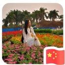 FreeFish的个人资料头像