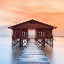 undefined的个人资料头像