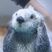 三海带的个人资料头像