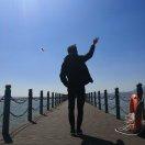 振飞猪的个人资料头像