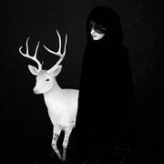 Neiloooo的个人资料头像