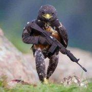 用户5120944982424142183的个人资料头像