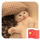 Domino重名了的个人资料头像