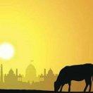 YangJ91526的个人资料头像