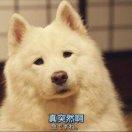 Nathan同志的个人资料头像