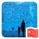 虫子就是我91568的个人资料头像