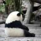 爱学习91589的个人资料头像