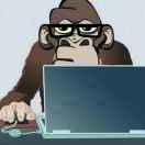 xiezhixin的个人资料头像