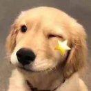 Harry重名了的个人资料头像