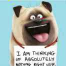 yecunhuang的个人资料头像