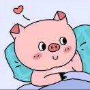 同学91725的个人资料头像