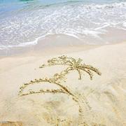 quiet199的个人资料头像