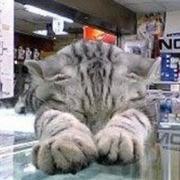 wonhung的个人资料头像