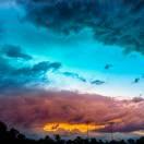 CmYzzZ的个人资料头像