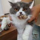 不想说话91909的个人资料头像