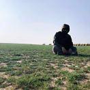 你若盛开的个人资料头像