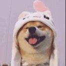 后来酱91942的个人资料头像