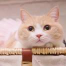 Autism的个人资料头像