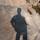 叶兮的个人资料头像