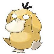 Zbeginner的个人资料头像