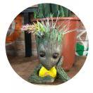 Ashley爱学习92033的个人资料头像