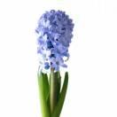 随风奔跑重名了的个人资料头像