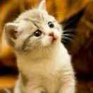 XXXXXX的个人资料头像