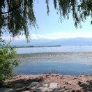 葡萄成熟时重名了的个人资料头像