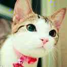 奋斗酱92125的个人资料头像