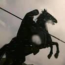 大凉龙雀的个人资料头像