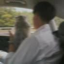 你头发乱了喔爱学习的个人资料头像