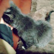 兔子怀里的抱抱熊的个人资料头像