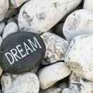 arsena冰的个人资料头像