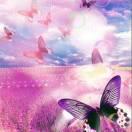 AA海亭服装店FQ护的个人资料头像