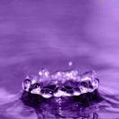 JERRY爱学习92225的个人资料头像