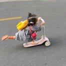 Jerry在掘金92256的个人资料头像