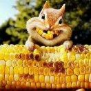 唯n的个人资料头像