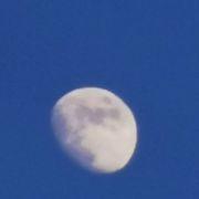 晓山寒月的个人资料头像