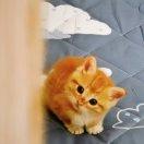 java尬发的个人资料头像