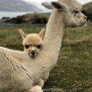 重名了92380的个人资料头像