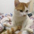 我的小可爱的个人资料头像