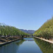 北归三文的个人资料头像