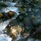 李堂正的个人资料头像