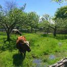 xujq的个人资料头像