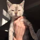 OrangEon的个人资料头像